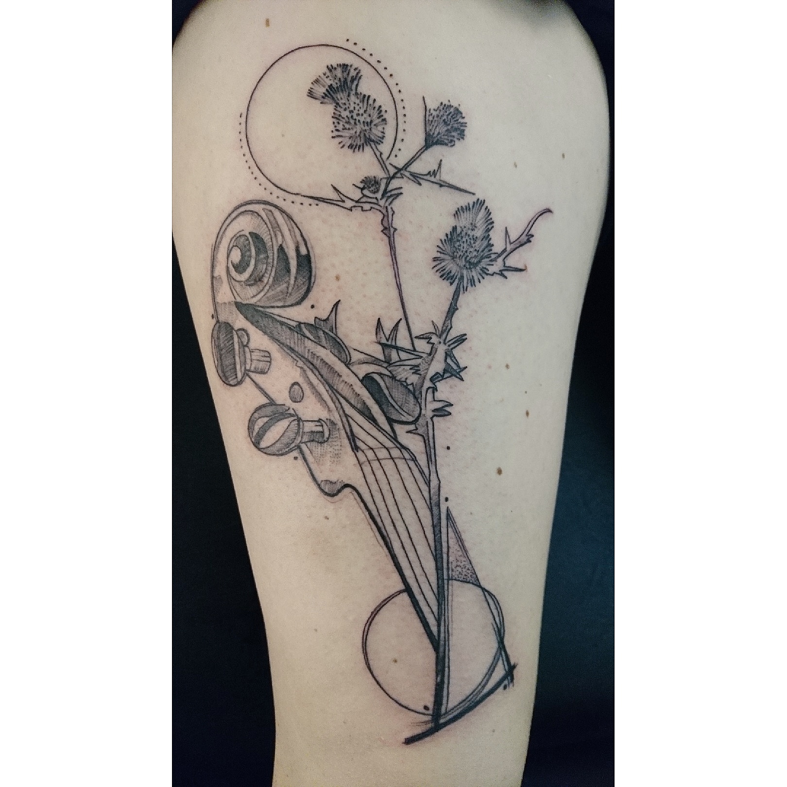 Bild 6