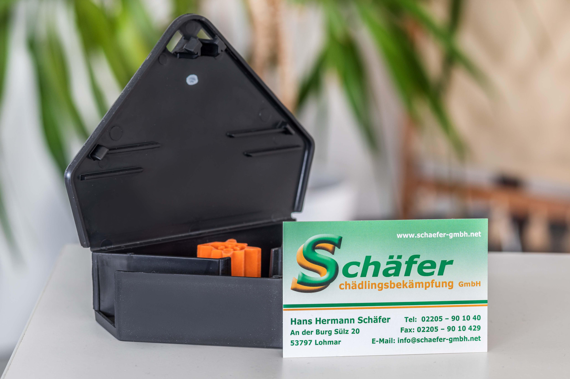 Schäfer Schädlingsbekämpfung I Kammerjäger GmbH Bonn I Köln  