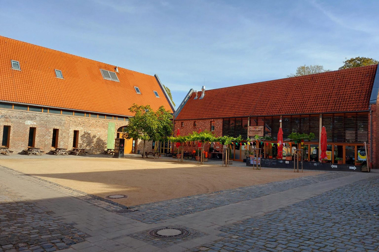 Bild 12