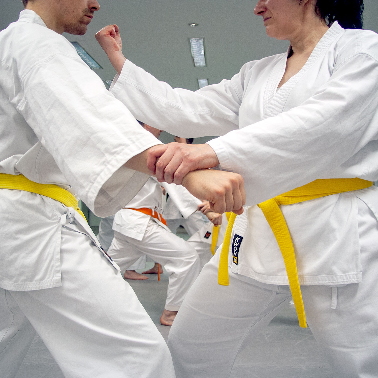 Karate & Sportschule Shintai  